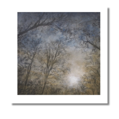 Memories of Light - Sunset, Trees on Bluebell Woods, Coniston