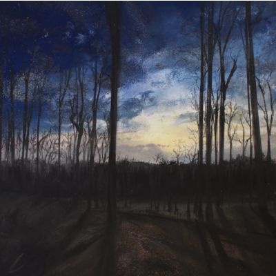 Directing Darkness - White Moss, nr. Rydal Water