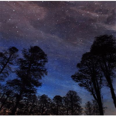 High and Seek - Tarn Hows