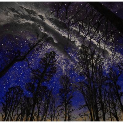 Stellariffic Stanza - Tarn Hows