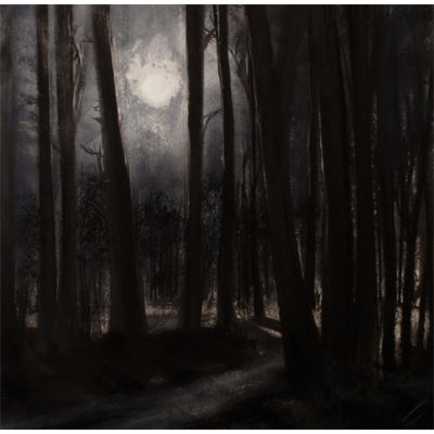 The Witching Towers - Bluebell Woods, Coniston