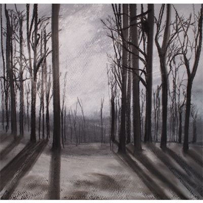 Curved among Columns - White Moss, nr. Rydal Water