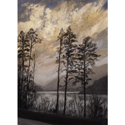 Thrill of the Gold Rush