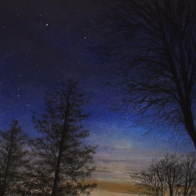 Night Walk Blues - Trees on Lakeside Hotel, Cumbria