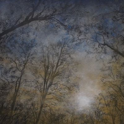 Memories of Light - Trees on Bluebell Woods, Coniston