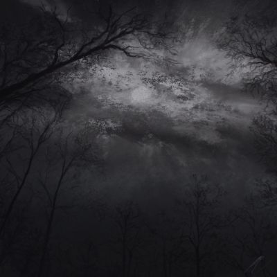 In to that Good Night - Bluebell Woods, Coniston, Cumbria