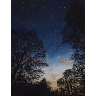 Sky Escaper - Brantwood, Coniston