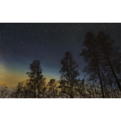 Beyond the Above - Tarn Hows