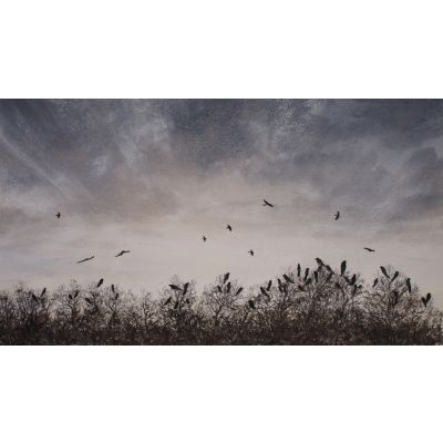 Calm After the Storm