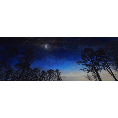 Twilight Choreography